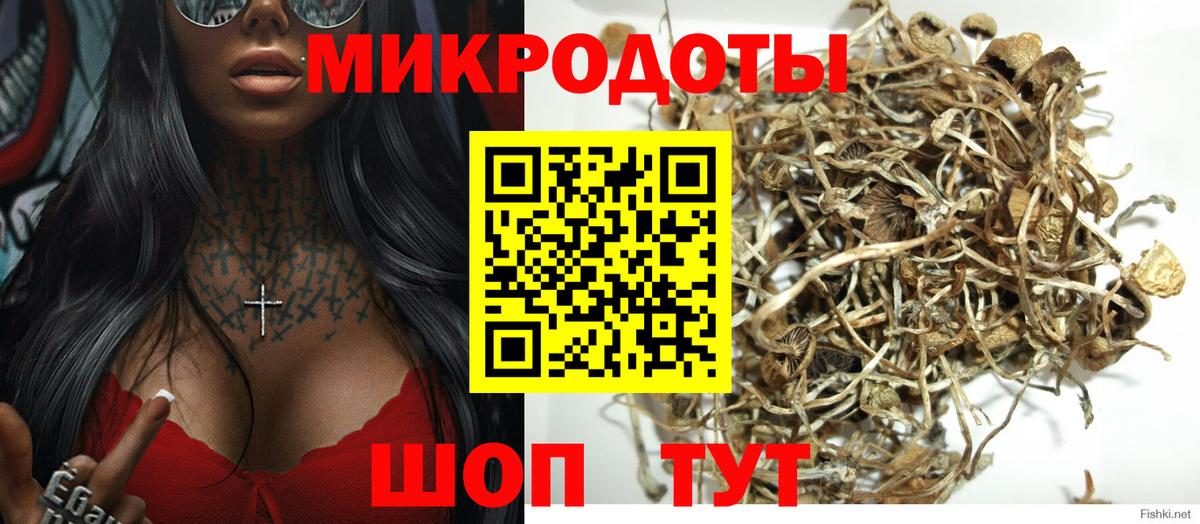 Галлюциногенные грибы Magic Shrooms  Псилоцибиновые грибы Magic Shrooms  Вход с VPN  Канск 